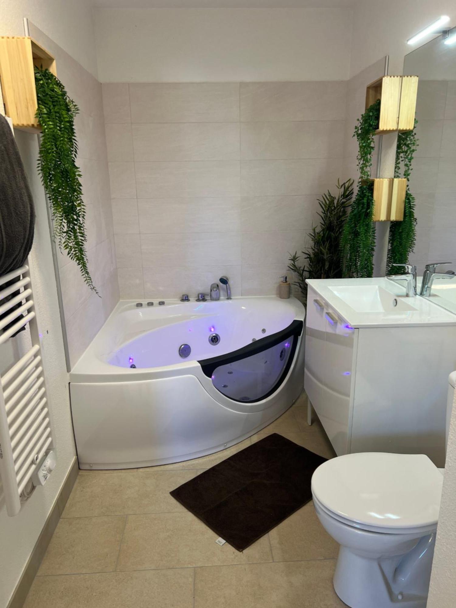 Apartment Le Somptueux, Cosy / Balneo *