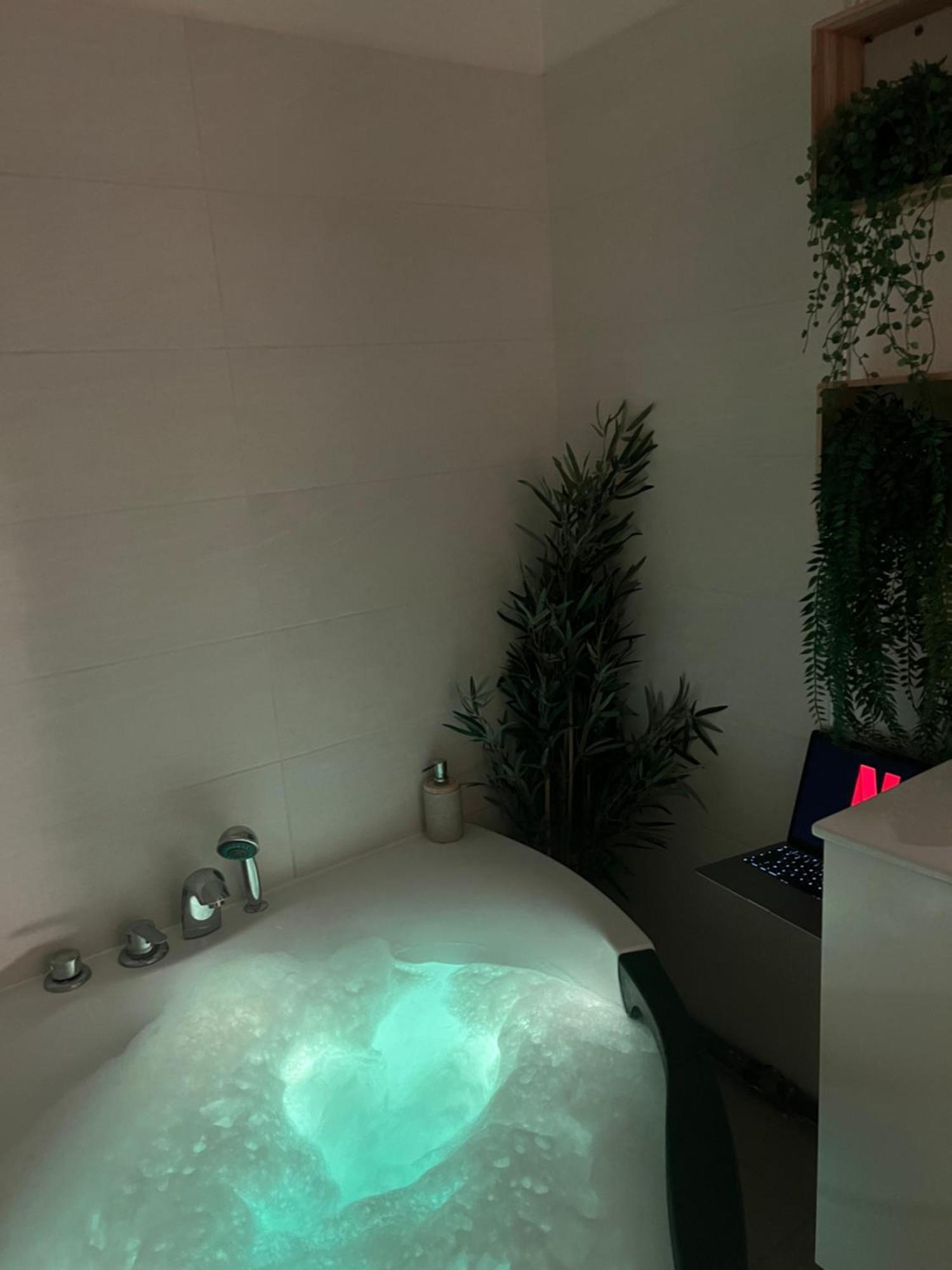 Appartement Le Somptueux, Cosy / Balneo *